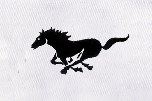 Black Horse Silhouette Design