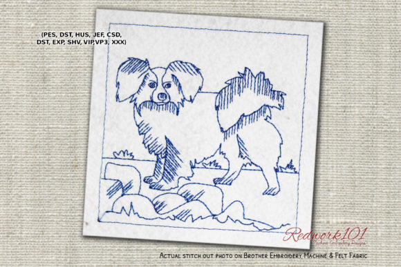 Papillon Dog with Long Shaggy Ears